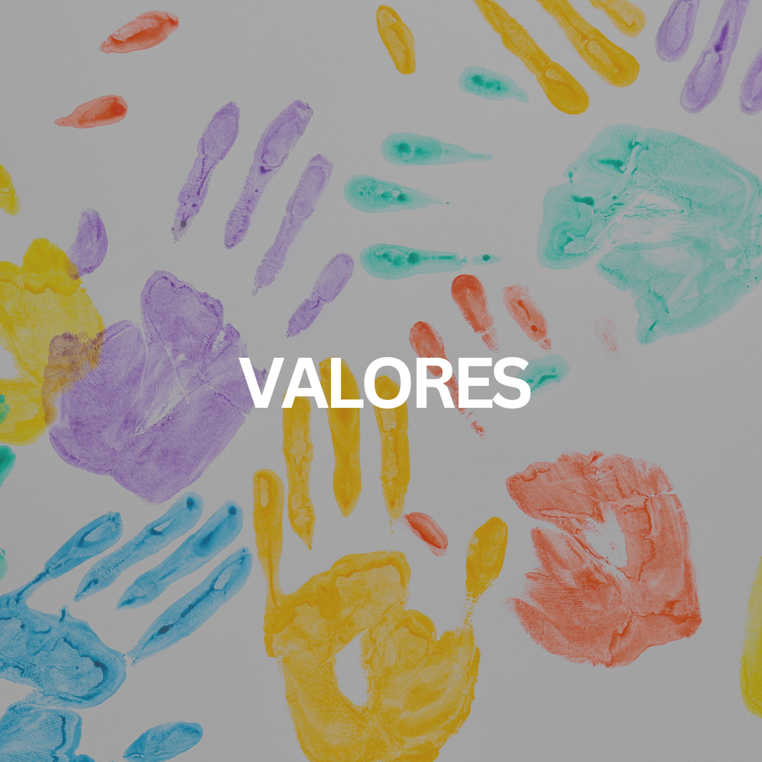 ¡Bienvenidosas!